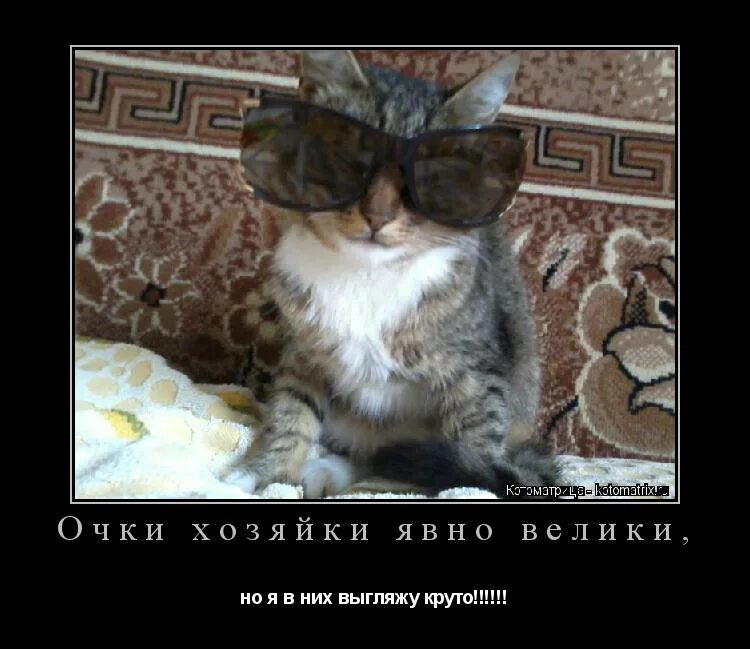 Привет крошка. Тони альва скейтборд. Открытка. Классно. Открытка ты классная.