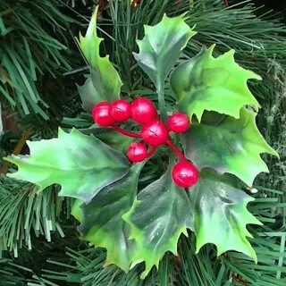 Holly