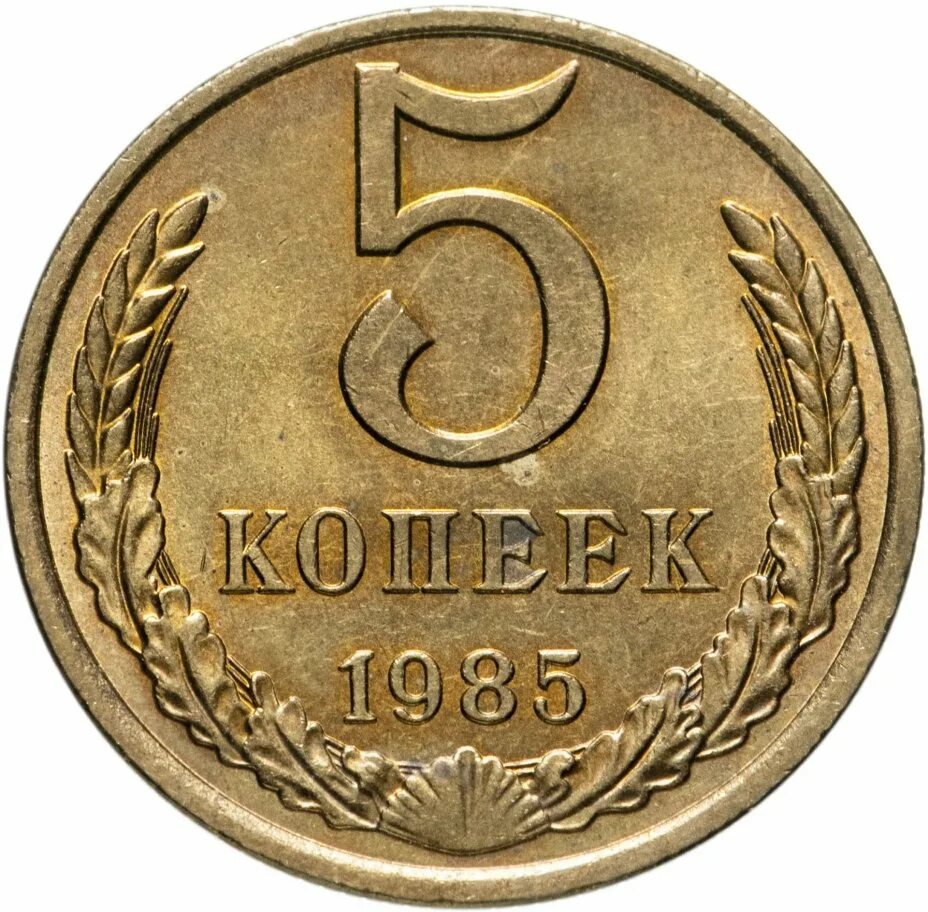 3 Копейки 1983. 5 Копеек 1983. 5 Копеек 1984. Монета 5 копеек 1989. 5 копейки 1961 года цена стоимость монеты