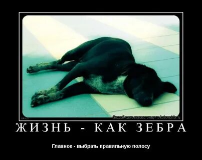 Главное правильно подобрать