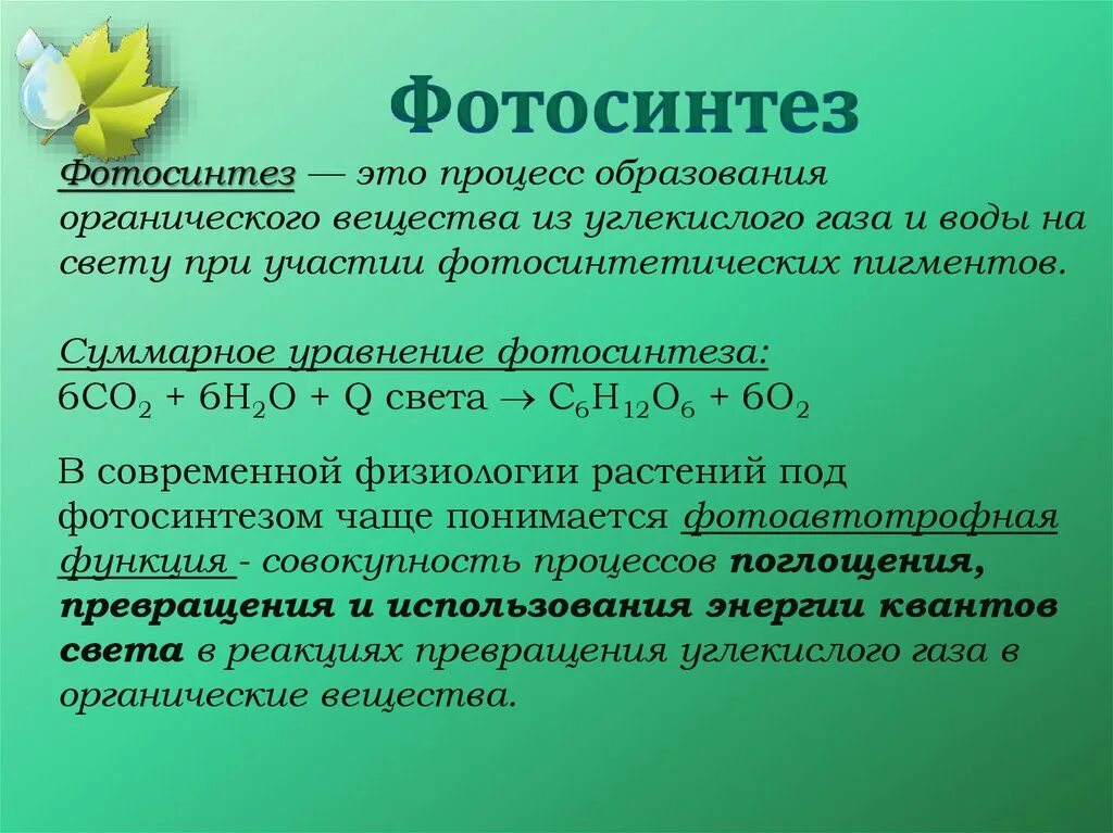 Участвует в образовании органических веществ