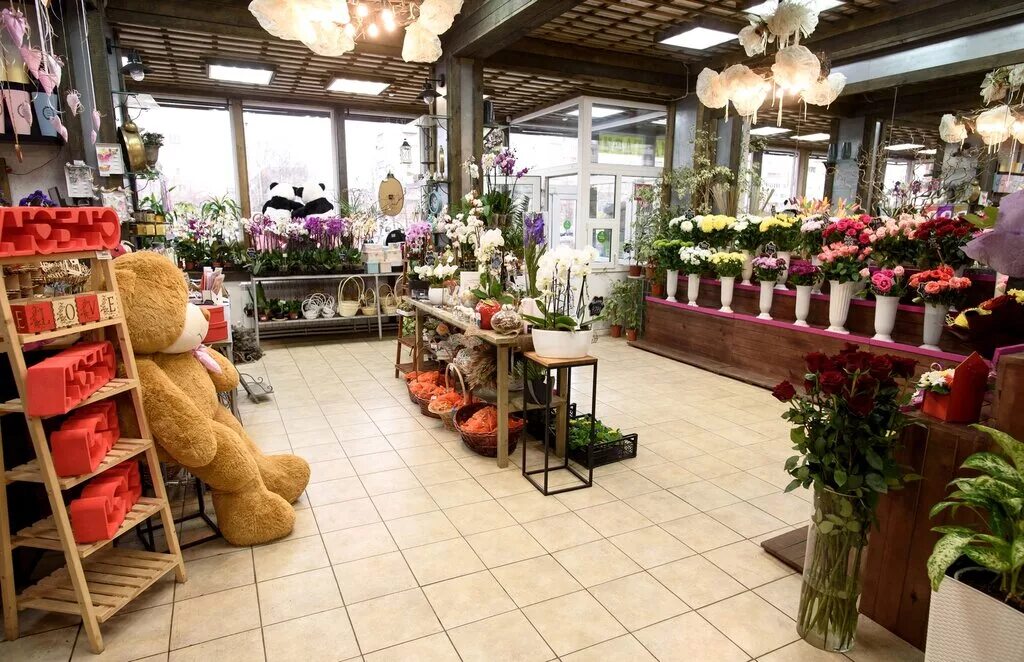 Цветы зеленого хозяйства великий новгород. Трест зеленого хозяйства великий новгород. Цветы зеленого хозяйства великий новгород. Цветы зелёного хозяйства, великий новгород, прусская улица. Трест зеленого хозяйства полевой переулок.