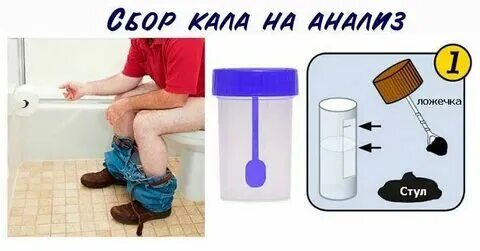 Кал сдают натощак