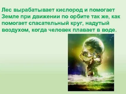 Как вы помогаете земле