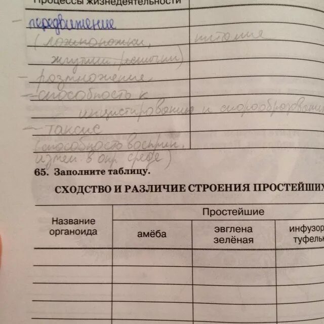 Заполните таблицу сходства и различия. Сходство и различие простейших таблица. Сходство и различие строения простейших таблица. Заполните таблицу сходства и различия строения простейших. Сходство и различие строения простейших таблица 7.