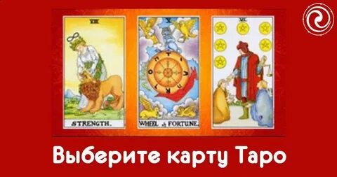Фортуна выбирает