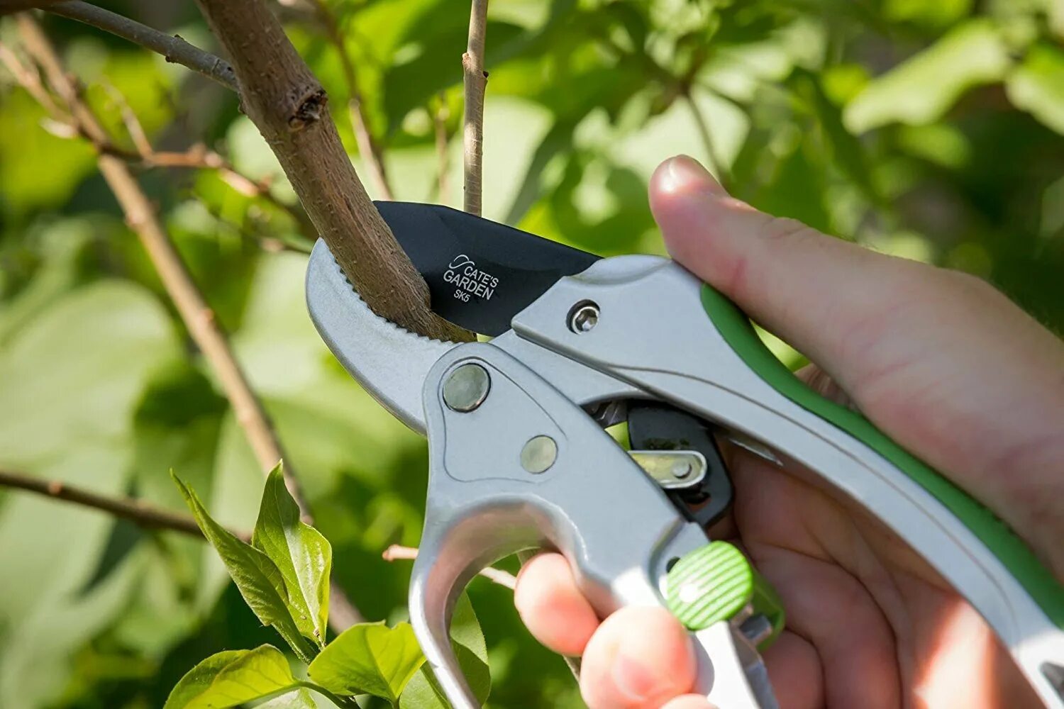 Секатор pruning Shears. Садовый секатор Кампанелла. Секатор Garden Tools. Секатор садовый GSB 20.