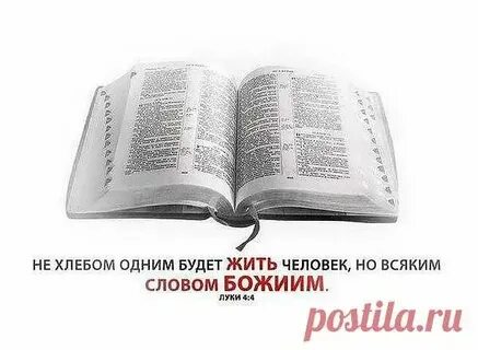 Слово библия означает книга