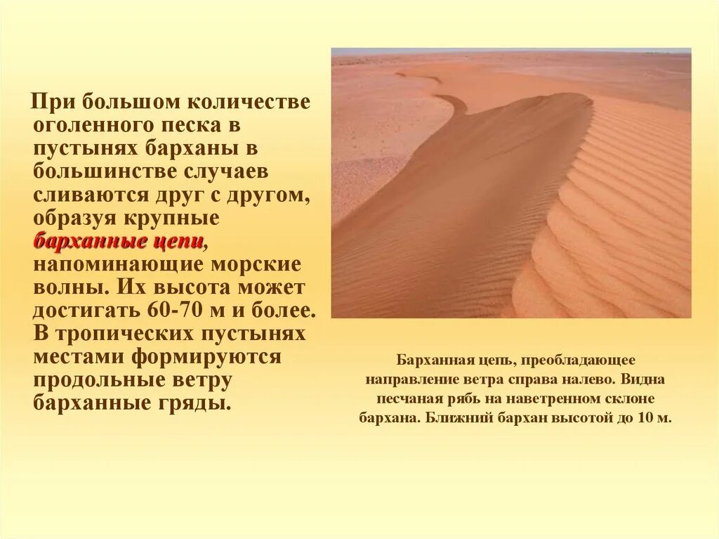 Формы песка в пустыне. Дюна форма рельефа. Эоловые формы рельефа песчаных. Барханные гряды.