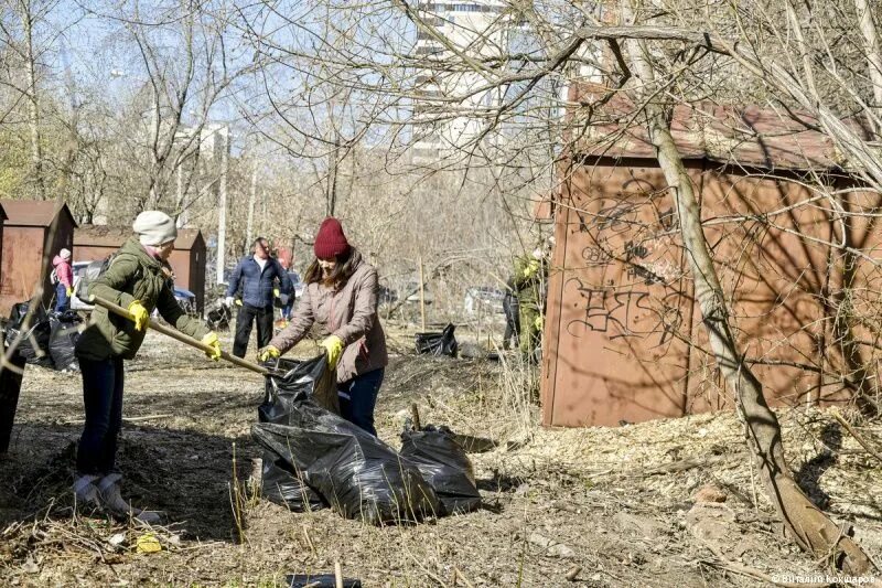 Субботник пермь. Кама вада холодная. Конкурс фото субботников. Субботник пермь. Субботники пермский край.