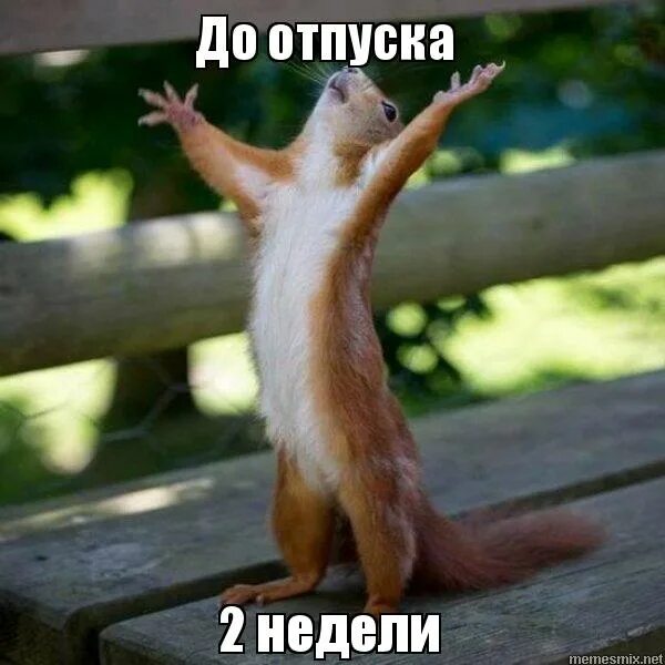2 дня до отпуска картинки. Неделя до отпуска. Мемы про первый день отпуска. Через две недели отпуск. Через две недели отпуск.