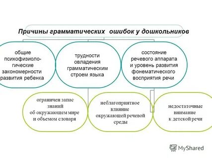 Лексика возраст