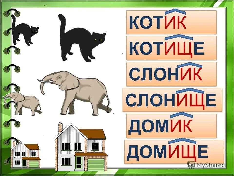 Определение рода аббревиатур. Домище род существительного. Существительное какого рода. Грамматические формы имени существительного. Домина какой род существительного.