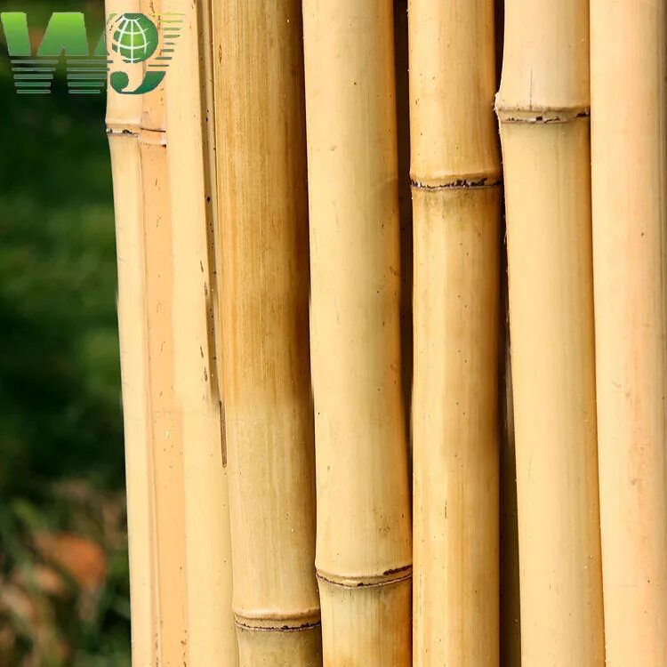 Поделки из бамбука. Полотно 100х150. Биг бамбук. Стойки из бамбука. Бамбуковая штора магеллан 60x220.