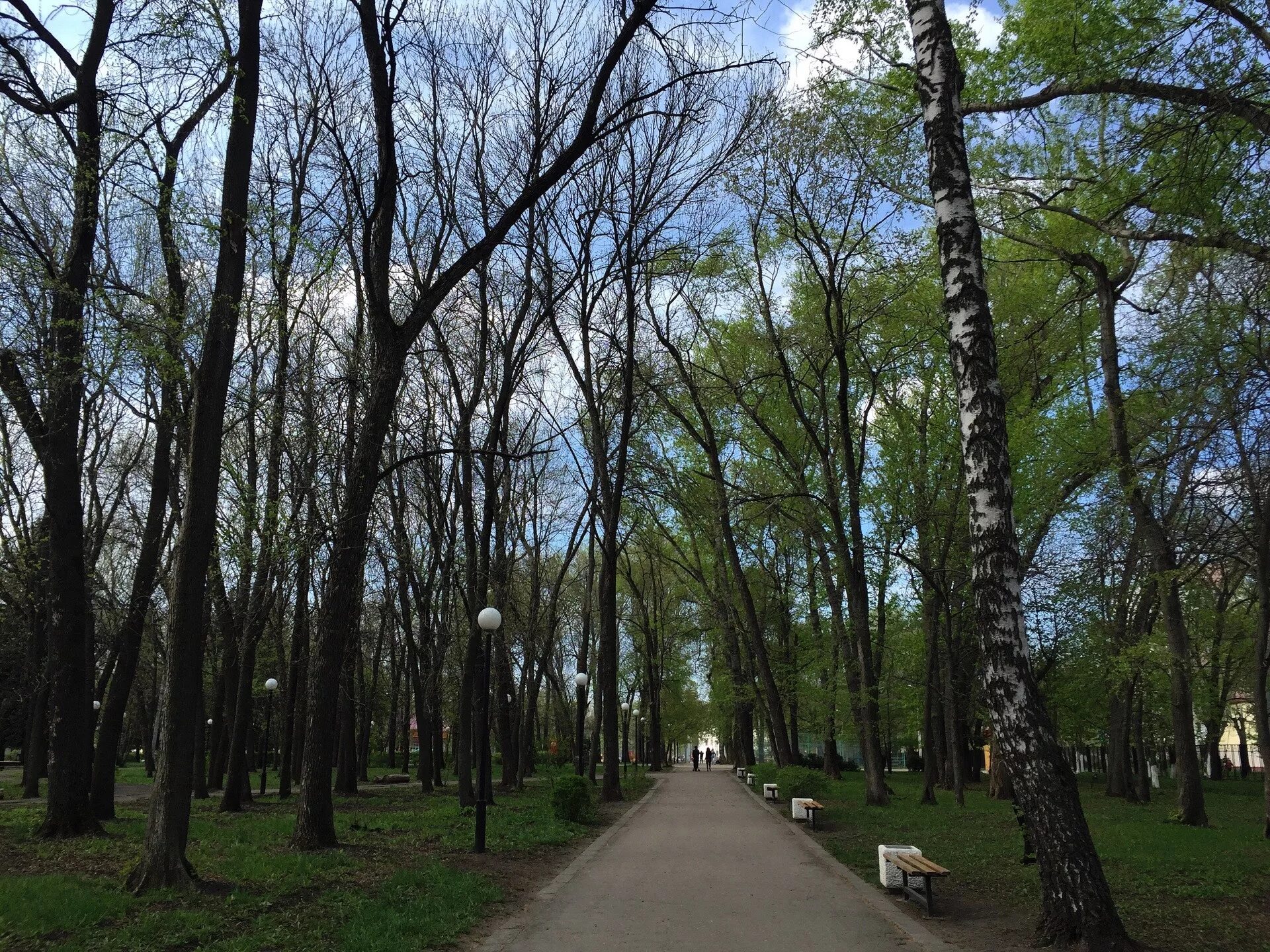 Сайт парка пенза. Комсомольский парк Пенза. Олимпийский парк Пенза. ПКИО Комсомольский Пенза. Парк Белинского Пенза аллеи парка.