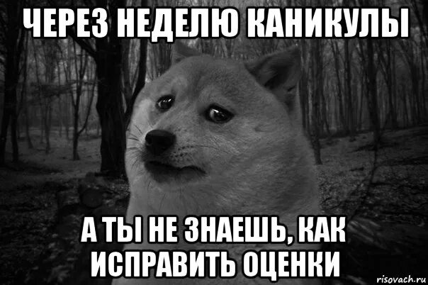 Через несколько минут в городе началась. Неделя до каникул. Через неделю каникулы. Через неделю. Последняя неделя перед каникулами.