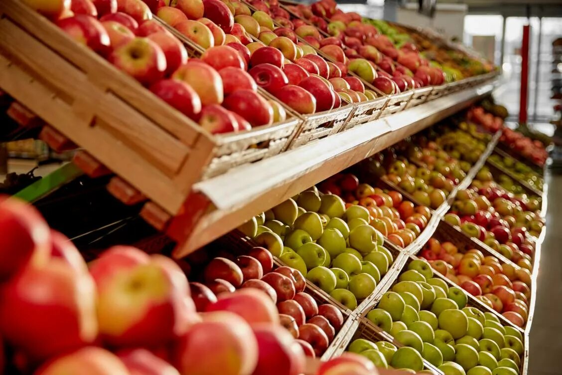 Авито купить фрукты. Поставка яблок. Яблоки в ассортименте. Яблоки в упаковке. Отгрузка яблок.