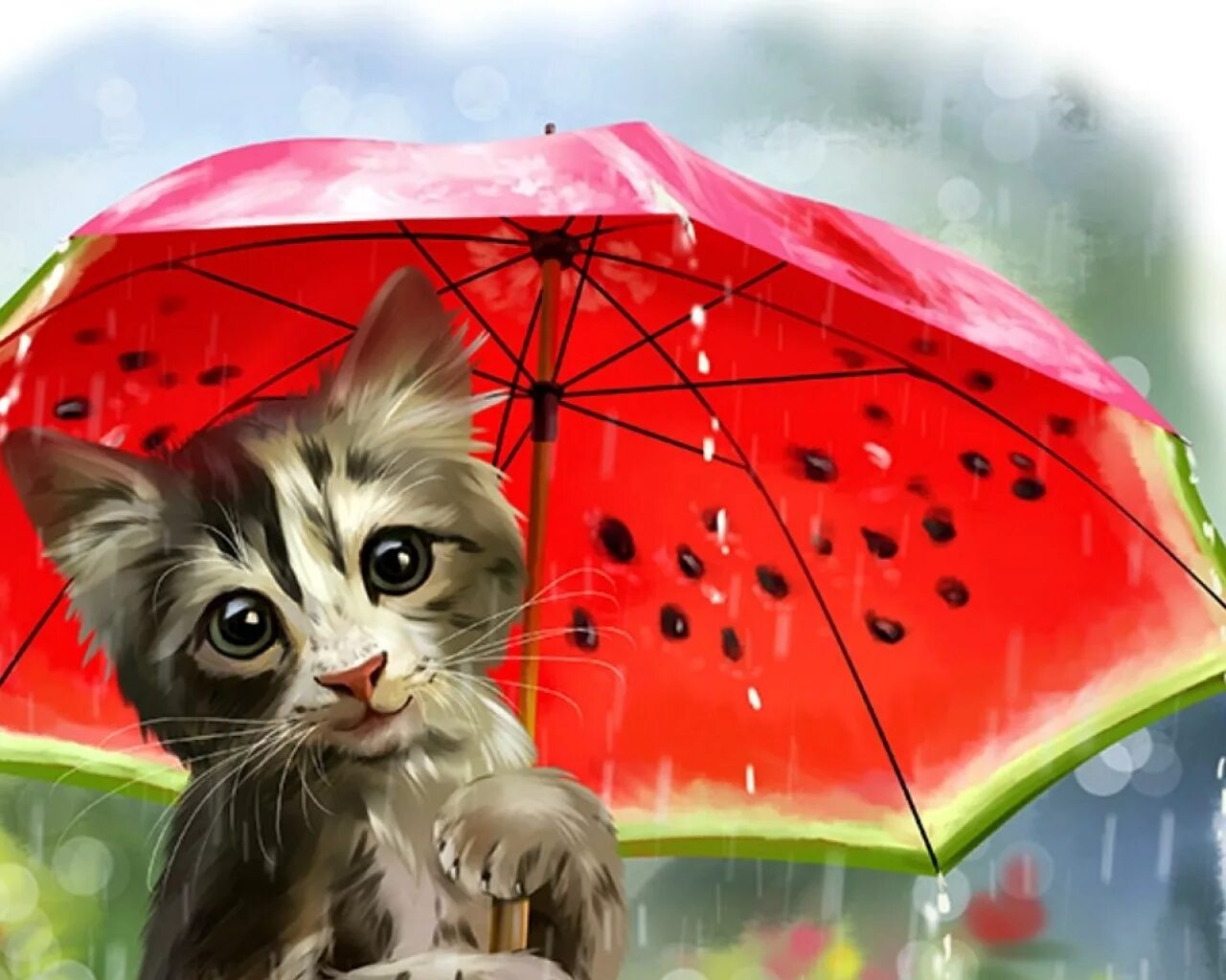 Кошка под зонтом. Котик под зонтиком. Котенок под зонтом. Котенок под зонтиком. Котики зонтики