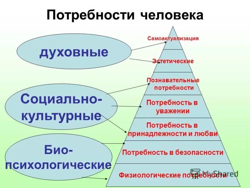 Потребности человека. Социальные и духовные потребности. Культурные потребности. Основные духовные потребности человека. Потребность в общении относится к социальным потребностям