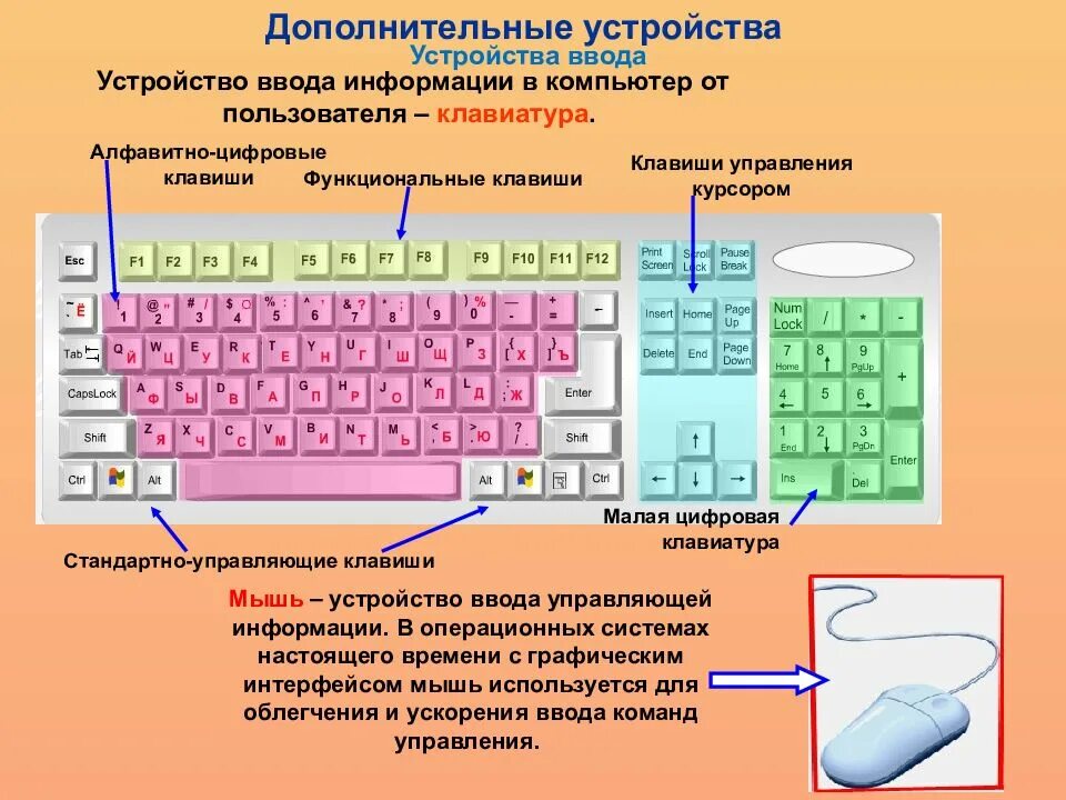 Предложение нажимать на клавиши. Строение компьютерной клавиатуры. Устройство клавиатуры Назначение клавиш. Строение клавиш на клавиатуре. Строение кнопки клавиатуры.