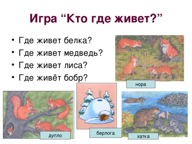 Чей дом стоял в окружении. Кто где живет. Дикие животные кто где живет. НДН живет Дикие жиаотные ?. Где живут Дикие животные для детей.