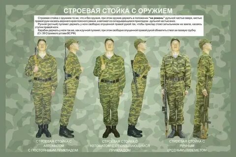 Псп строевая