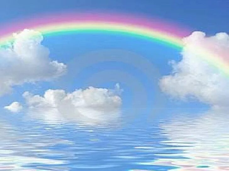 Радужный мост джим уоррен. Пять суток за радугу. Собака на радуге. Мост радуги для птиц. Пять суток за радугу.