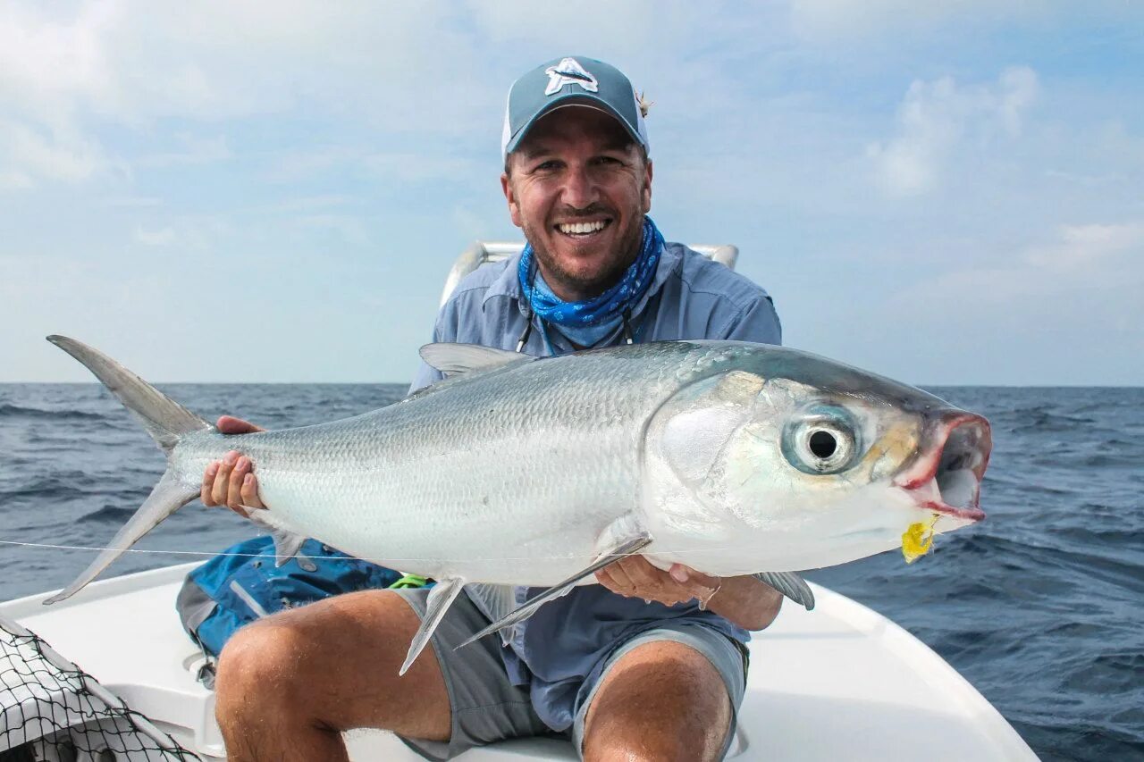 Fish report