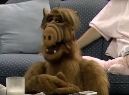 Alf" powraca. 