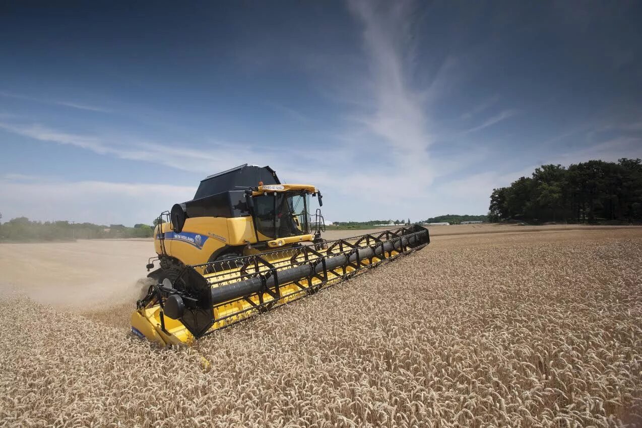 90. New holland комбайн 6090. Комбайн new holland. Зерноуборочный комбайн нью холланд. Комбайн нью холланд cr.