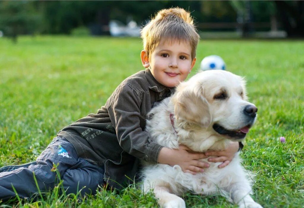Мальчик играющий с собакой. Золотистый ретривер нянька. Канистерапия. Лабрадор канистерапия. Мальчик с собакой.