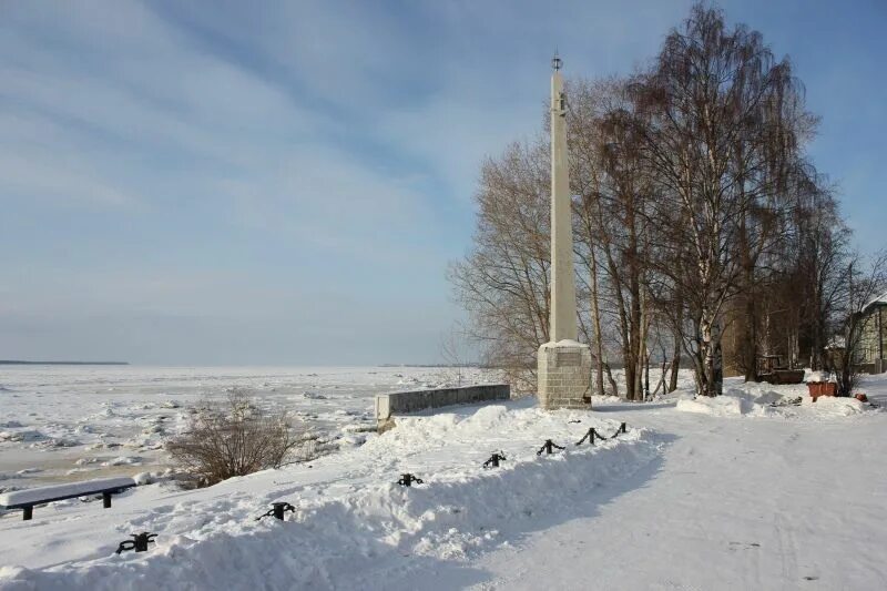 Численность онеги