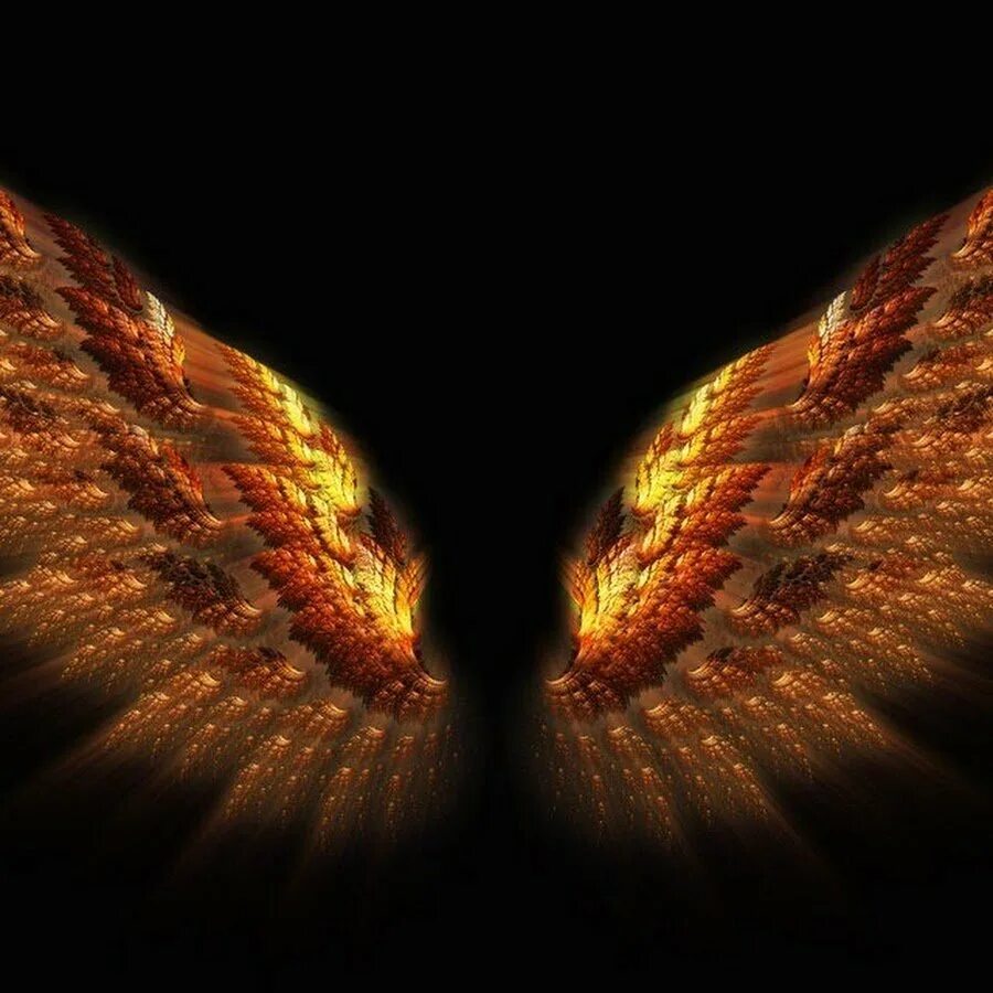 Огненные Крылья. Красивые Крылья. Крылья в огне. Красивые Огненные Крылья. Золотые крылья 2