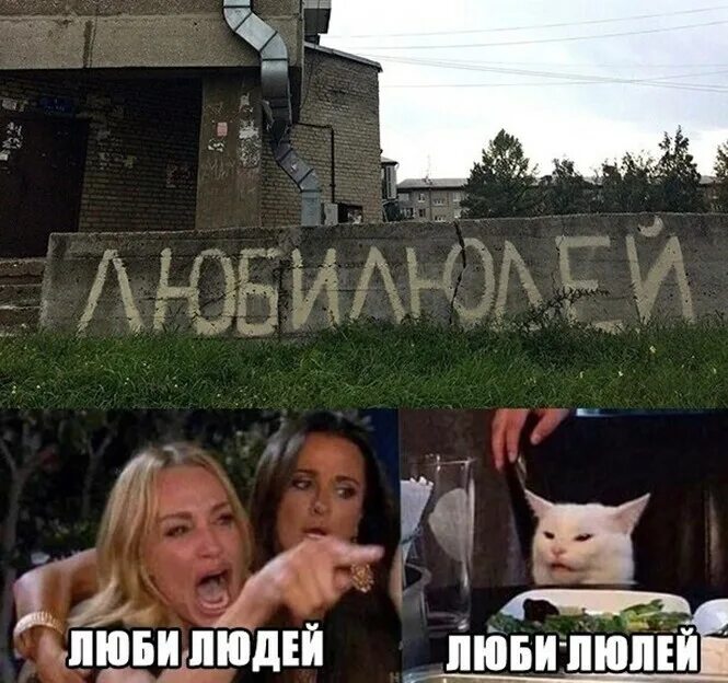 Мем две женщины. Кот и кричащая женщина. мем две женщины орут на кота. девушки орут на кота. женщина орет на кота.