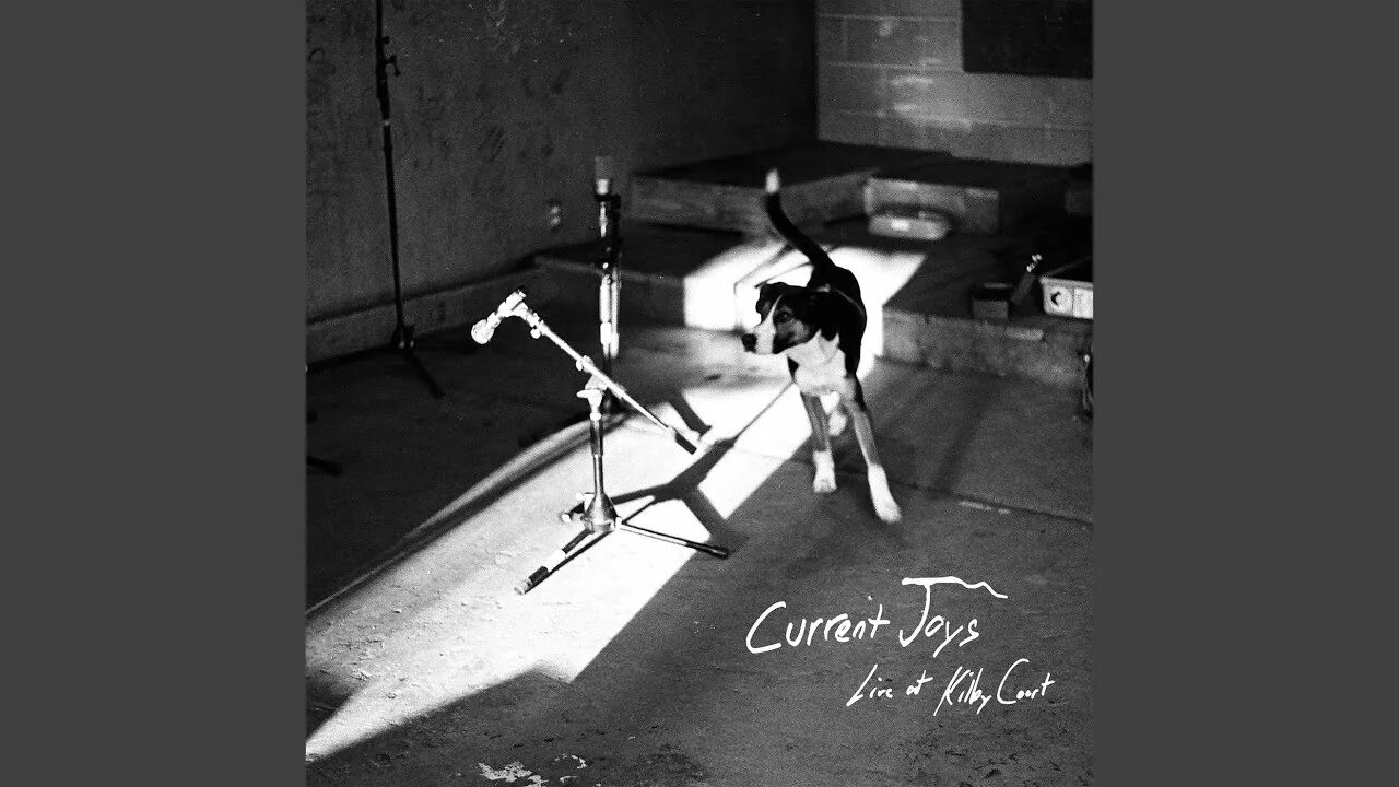 Fear current Joys. New Flesh current Joys. Current Joys обложка. Fear current Joys обложка. New flesh current