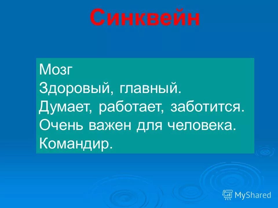 синквейн мозг. организм синквейн. слово синквейн происходит. синквейн на тему здоровье. синквейн почва.