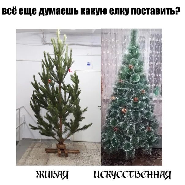 Как установить настоящую елку. Елка живая и искусственная. настоящая елка не искусственная. закрепить живую елку на новый год. как установить искусственную елку.