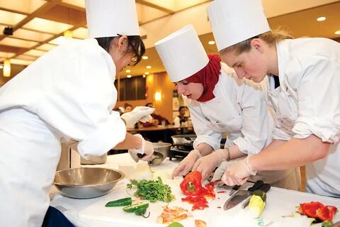 Cooking chef отзывы