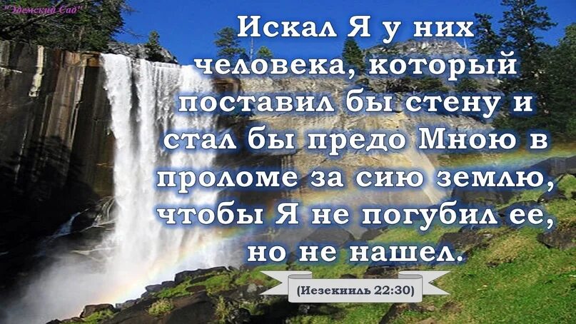 Книги продолжали открывать предо мною новое особенно. Стихи из Библии. Картинки с Цитатами из Библии. Встать в проломе. Встать в проломе Библия.