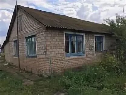 Авито приютово