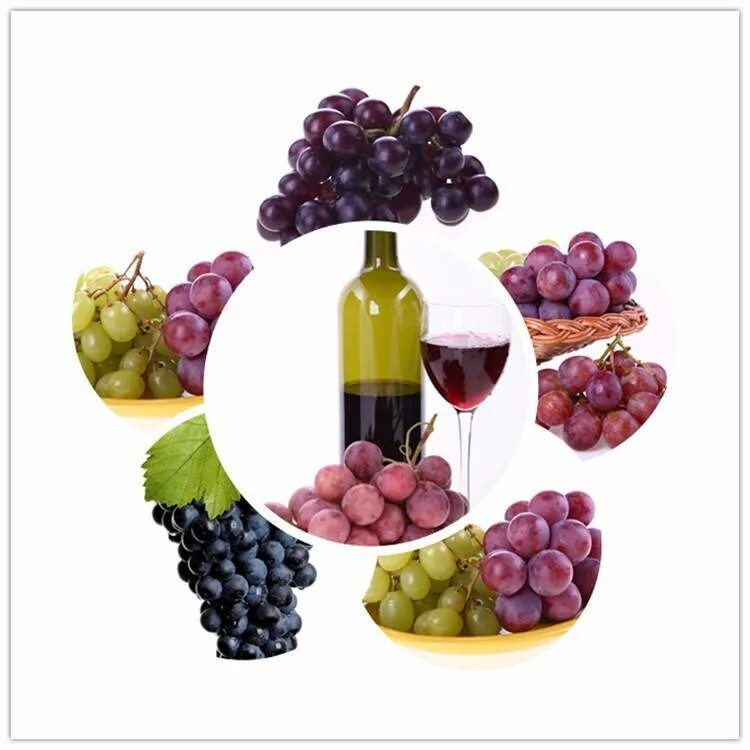 Применения винограда. Виноград и косточки винограда. Виноград виноградные косточки. Вещество содержащееся в виноградной косточки. Виноградное масло.