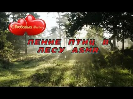 Послушать звуки леса