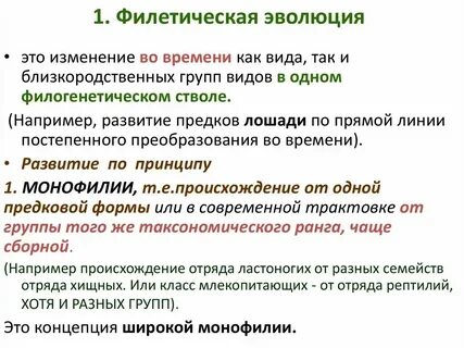 Форма эволюции групп
