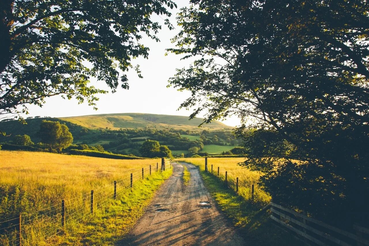 My country side. Сельская дорога. деревенская дорога. пленочные фото пейзаж. countryside фото.