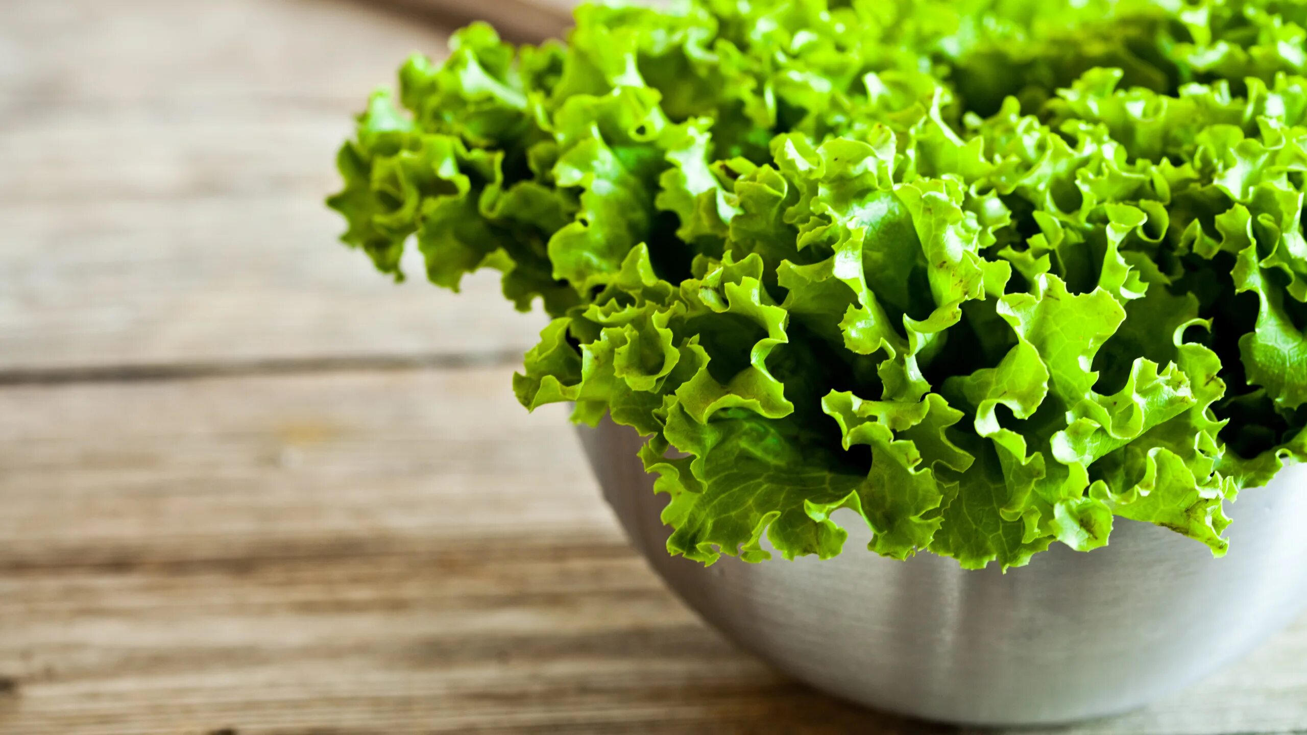 Код зелень. Салат латук, Кресс-салат. Салат латук Айсберг. Салатные листья латук. Зелень Кресс салат.