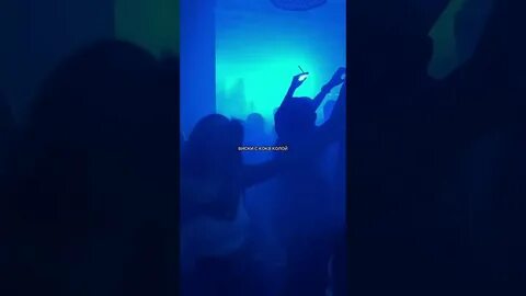 By индия the limba