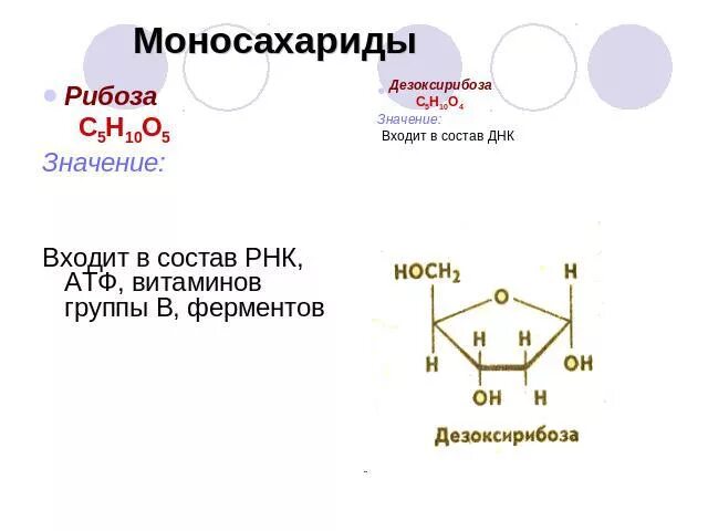 Углеводы днк и рнк. Рибоза группа углеводов. Функциональные группы рибозы и дезоксирибозы. Моносахариды рибоза. Рибоза в АТФ.