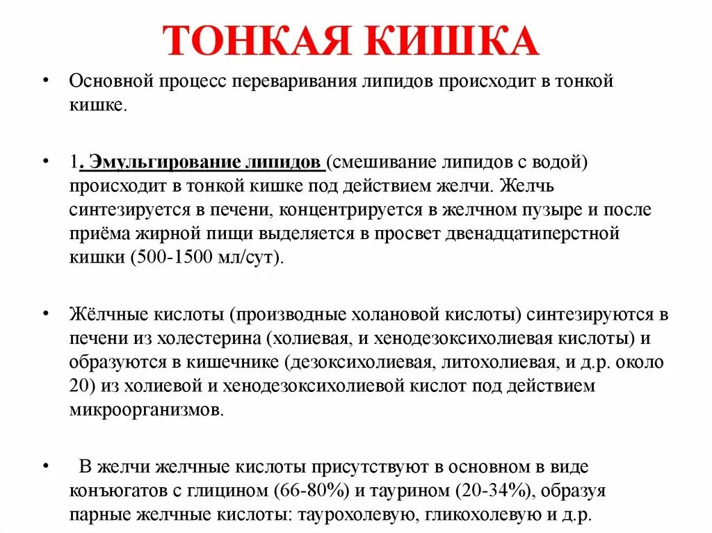 Процессы в кишечнике человека. Основные процессы тонкого кишечника. Химические процессы в тонком кишечнике. Основные процессы происходящие в тонком кишечнике. Физические процессы в тонкой кишке.