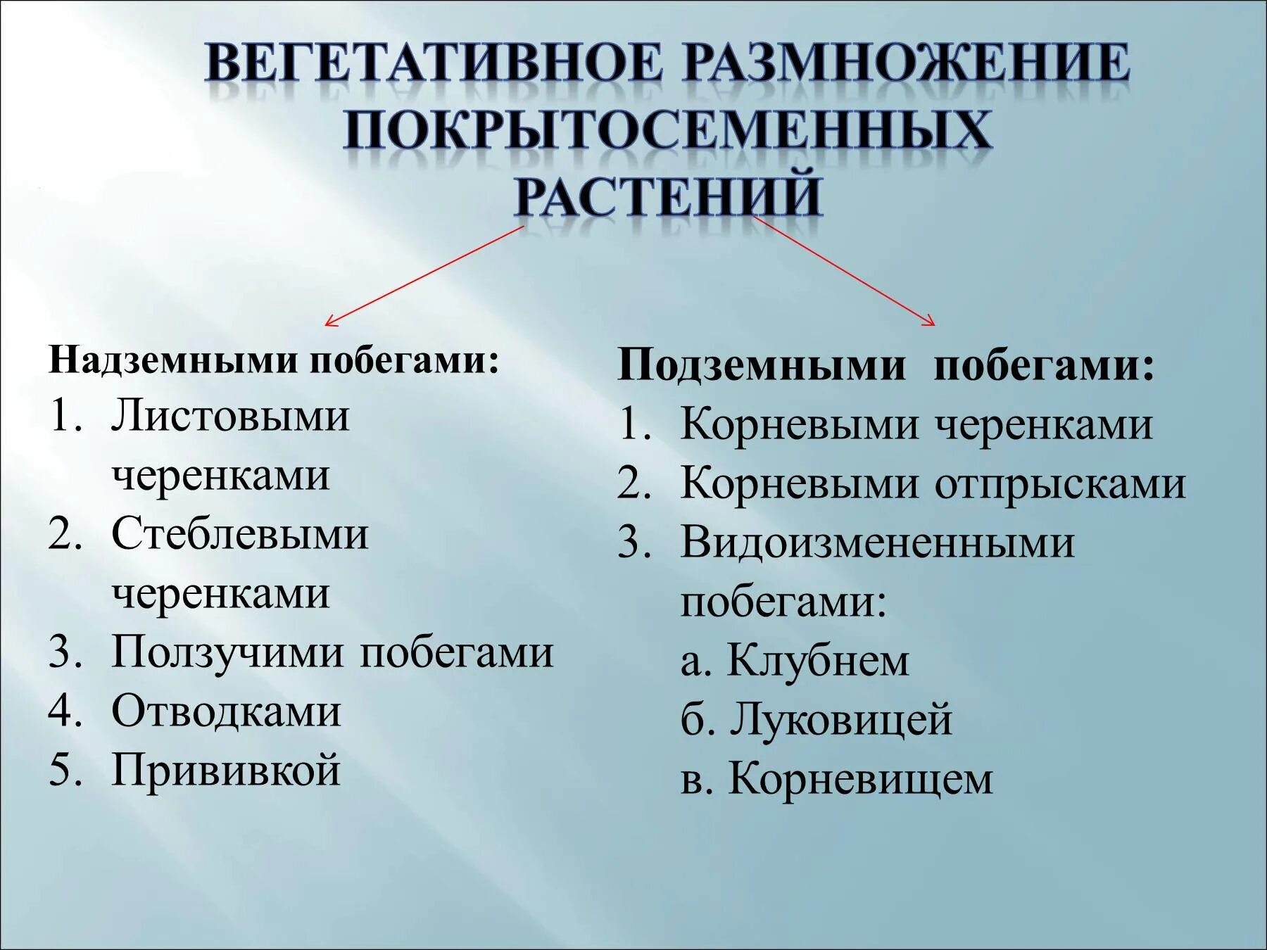 Способы размножения покрытосеменных растений. Способы вегетативного размножения покрытосеменных. Размножение покрытосеменных растений 7 класс. Способы вегетативного размножения покрытосеменных растений.