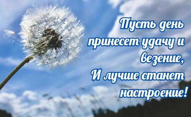 Хорошего легкого дня и отличного. Успешного дня и хорошего настроения. удачного дня и хорошего настроения картинки. удачного дня и хорошего. успешного дня и отличного настроения.